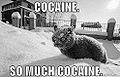 Cocaine.jpg